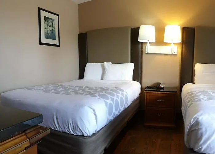 Econo Inn&suites 4*